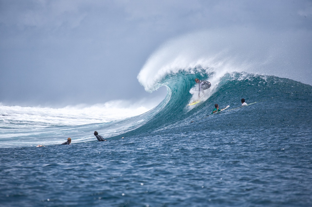 Surf, surfing, big wave — About Us
