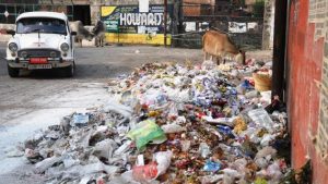 How Garbage Dumps Are Changing Our Neighborhoods