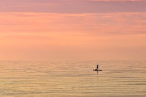 Sea, paddle boarding, sunset — Kevin Sumlin Influencing Modern Coaching With Experience-Based Strategies