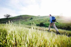 Unlocking the Secrets of Productivity: Strategies for Peak Performance