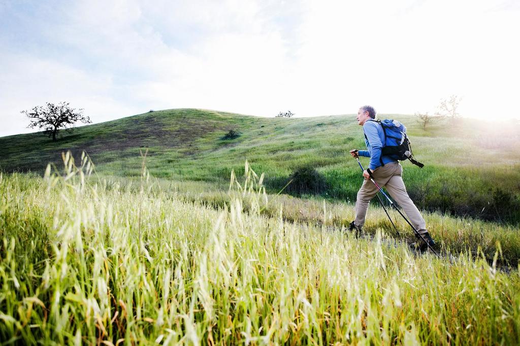 Unlocking the Secrets of Productivity: Strategies for Peak Performance
